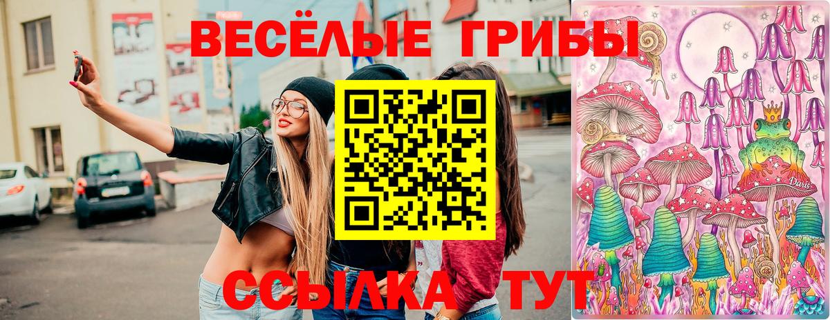 Псилоцибиновые грибы прущие грибы  Вход с VPN  Заинск 
